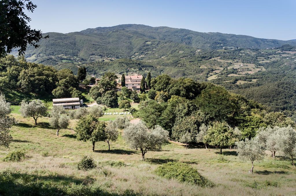 Agriturismo Di Baroni Enzo Dicomano Экстерьер фото